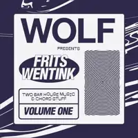 frits-wentink-two-bar-house-music-and-chord-stuff-vol-1
