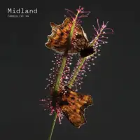 midland-fabric-live-94