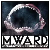 m-ward-what-a-wonderful-industry