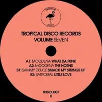 various-artists-tropical-disco-edits-vol-7_image_2