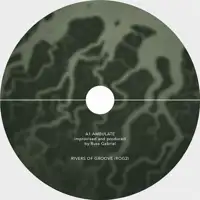 russ-gabriel-ambulate