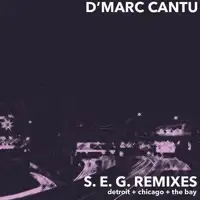 d-marc-cantu-seg-remixes-feat-larry-heard-malcolm-moore-chicago-skyway-mixes