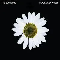 the-black-dog-black-daisy-wheel
