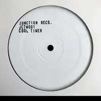 cool-tiger-junction-records-1