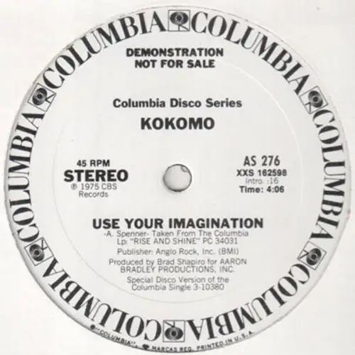 vinyl-kokomo-use-your-imagination