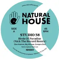 studio58-mandjou-kone-nick-the-record-remixes