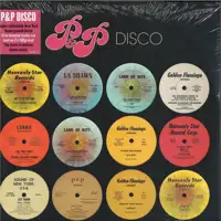 various-artists-p-p-disco