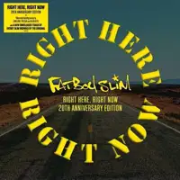 fatboy-slim-right-here-right-now-rsd19-vinyl-yellow