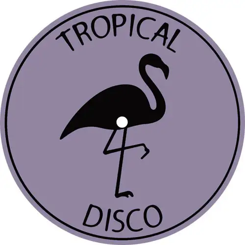 various-artists-tropical-disco-edits-vol-9_medium_image_2