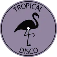 various-artists-tropical-disco-edits-vol-9_image_2