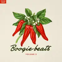 various-artists-boogie-beats-vol-2