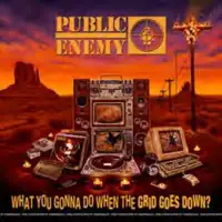 public-enemy-what-you-gonna-do-when-the-grid-goes-down