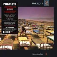 pink-floyd-a-momentary-lapse-of-reason-remastered-180-gr