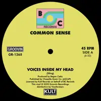 common-sense-voices-inside-my-head