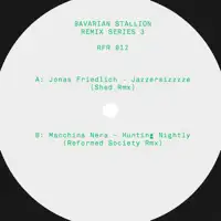 various-artists-bavarian-stallion-remix-series-3