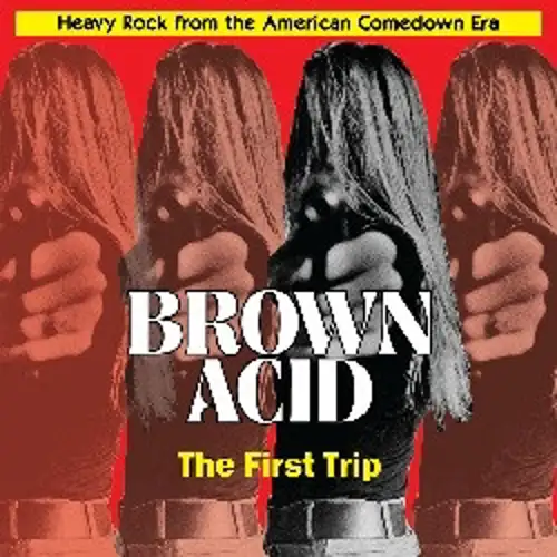 various-artists-brown-acid-the-first-trip_medium_image_1