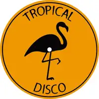 various-artists-tropical-disco-records-vol-17_image_1