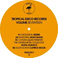 various-artists-tropical-disco-records-vol-17_image_2
