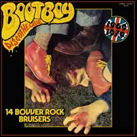 bootboy-discotheque-14-bovver-rock-bruisers-1969-1979