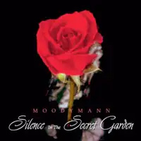 moodymann-silence-in-the-secret-garden-clear-vinyl