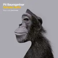 pit-baumgartner-sample-selfie