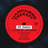 st-david-house-of-universe