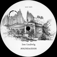 ion-ludwig-foundation