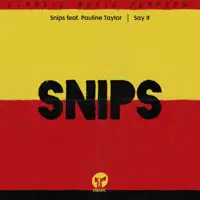 snips-featuring-pauline-taylor-say-it-inc-sandy-rivera-remix