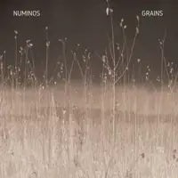 numinos-grains