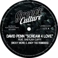 david-penn-featuring-sheylah-cuffy-scream-4-love-micky-more-andy-tee-remixes
