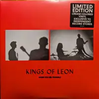 kings-of-leon-when-you-see-yourself