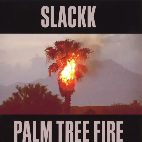 slackk-palm-tree-fire