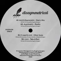 various-artists-dissymmetrical-vinyl-06