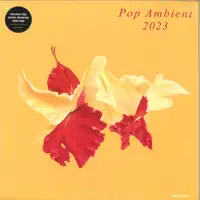 various-artists-pop-ambient-2023