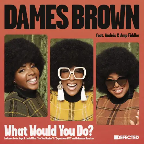 dames-brown-feat-andr-s-amp-fiddler-what-would-you-do-remixes