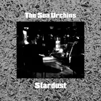 the-sea-urchins-stardust
