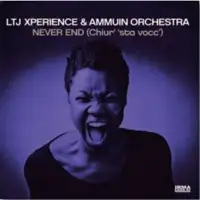 ltj-xperience-ammuin-orchestra-never-end-chiur-sta-vocc