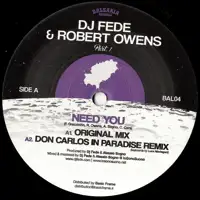 dj-fede-robert-owens-need-you