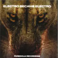 various-electro-became-electro-2x12