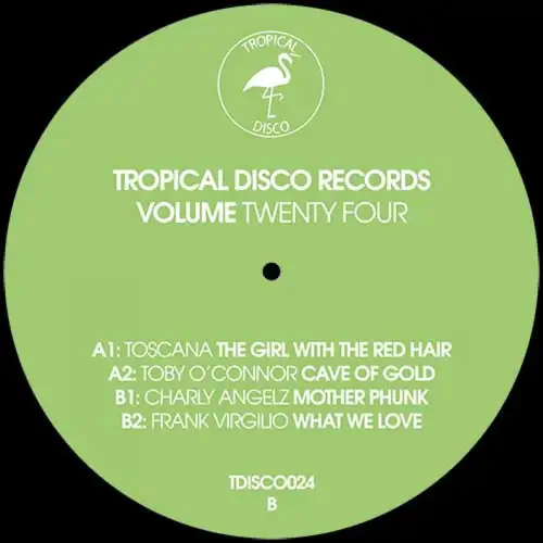 various-tropical-disco-records-vol-24_medium_image_2