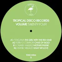 various-tropical-disco-records-vol-24_image_2