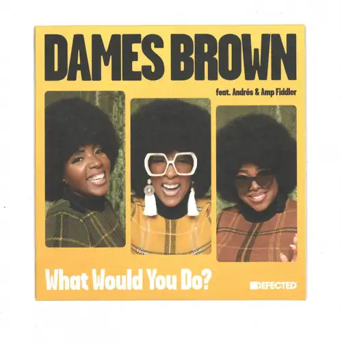 dames-brown-featuring-andr-s-amp-fiddler-what-would-you-do