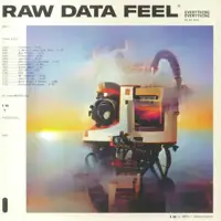 everything-everything-raw-data-feel-lp
