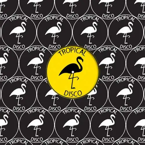 various-tropical-disco-records-vol-25