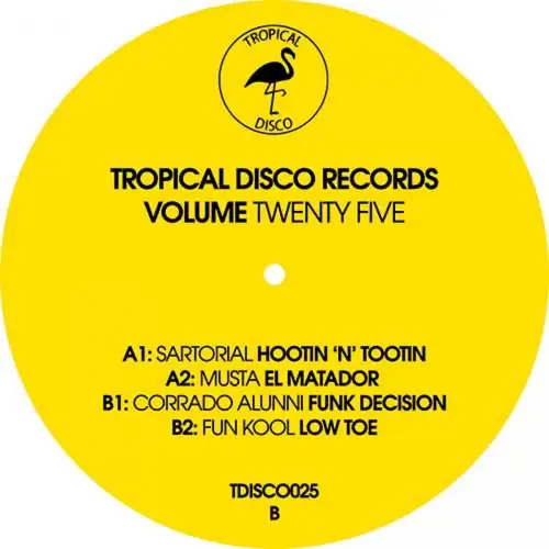 various-tropical-disco-records-vol-25_medium_image_2