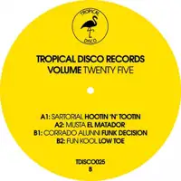 various-tropical-disco-records-vol-25_image_2