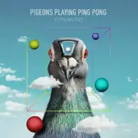 pigeons-playing-ping-pong-perspective-lp-2x12