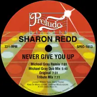 sharon-redd-never-give-you-up-incl-michael-gray-remix