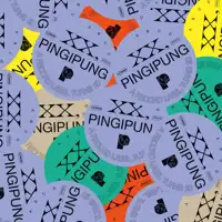 various-artists-xx-pingipung-a-record-label-turns-20-2x10