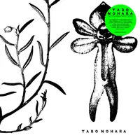 taro-nohara-poly-time-soundscapes-forest-of-the-shrine-lp